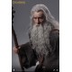 Lord Of The Rings The Fellowship of The Ring Gandalf 1/6 Scale Action Figure